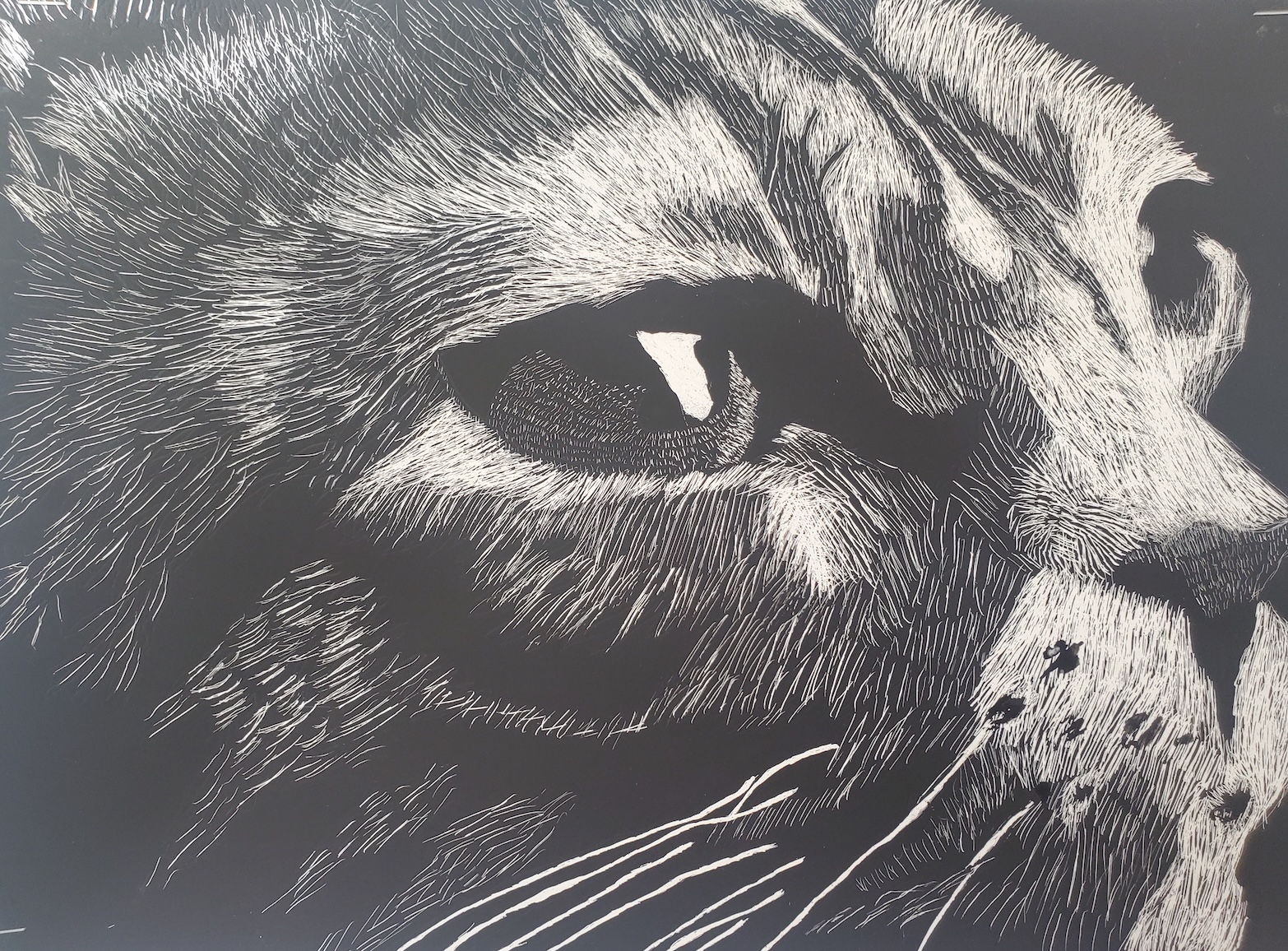 Artwork made in the Art 1 curriculum at Children's Art Classes
